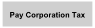 Pay Corporation Tax